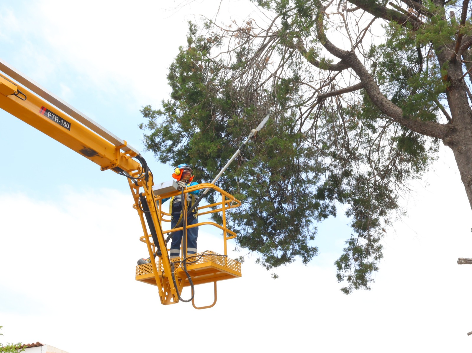 BUSTAMANTE CONTINÚA TRABAJOS DE MANTENIMIENTO Y MEJORA DE ÁREAS VERDES