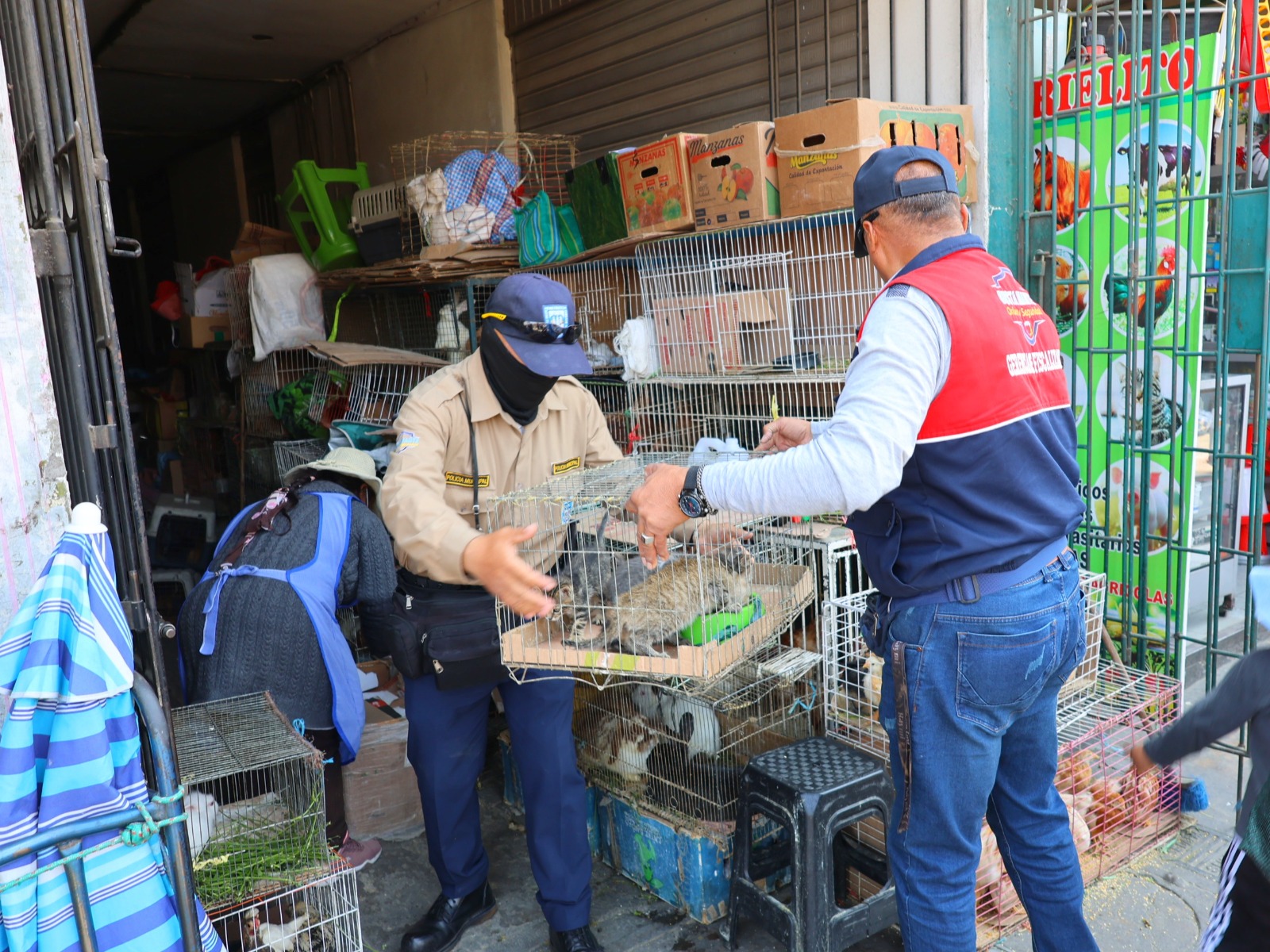 BUSTAMANTE INTENSIFICA OPERATIVOS PARA RECUPERAR ESPACIOS PÚBLICOS EN EL AVELINO CÁCERES Y GRATERSA